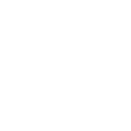 ico support